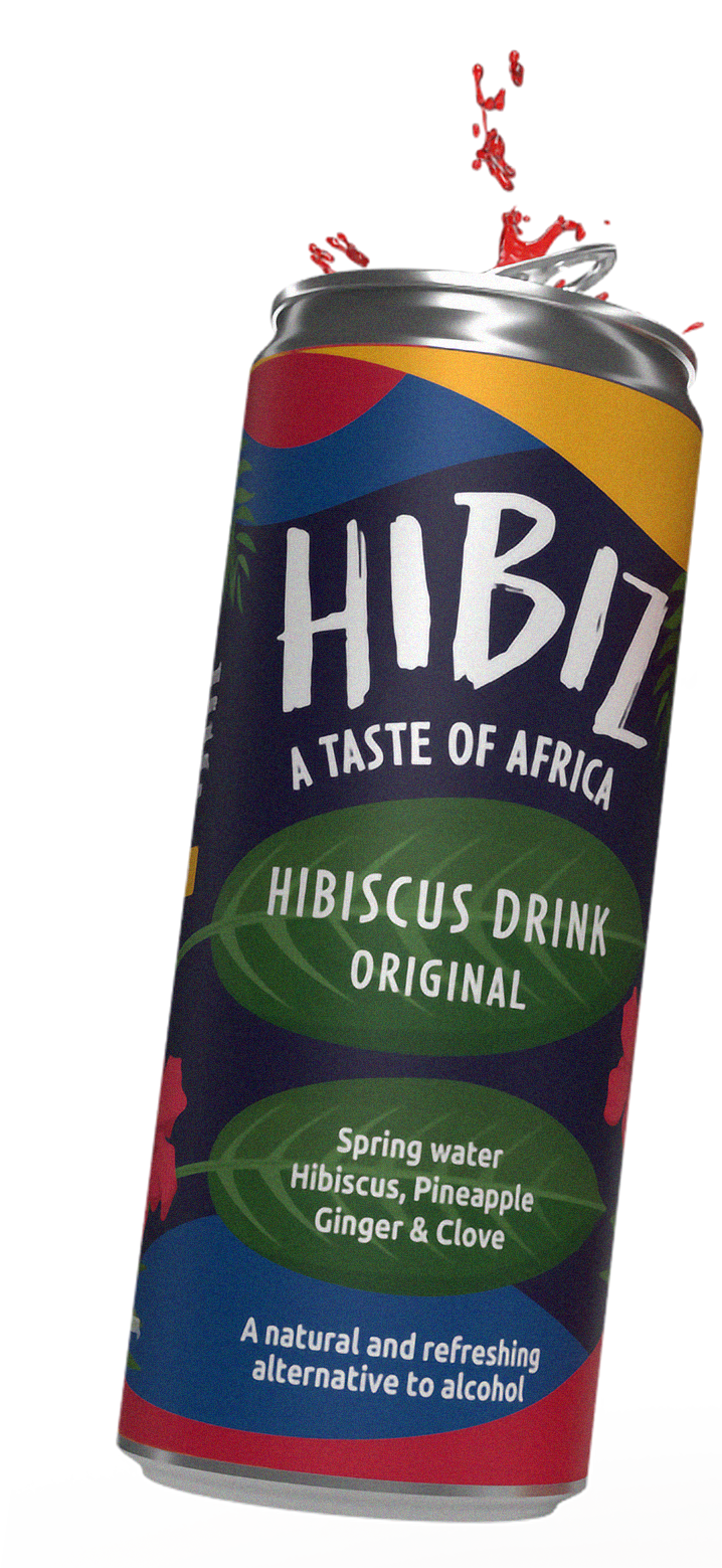 HiBiZ Spice Pack (12 x 330ml)